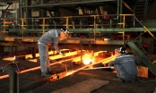 Chủ tịch Hoà Phát nói ngành thép sẽ thê thảm, cổ phiếu đồng loạt giảm sàn