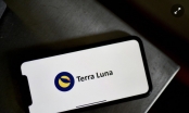Terra bị cáo buộc rửa tiền 80 triệu USD mỗi tháng