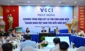 Chỉ 60 doanh nhân được vinh danh 'Doanh nhân Việt Nam tiêu biểu' năm 2022