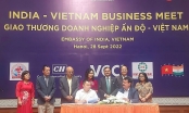 Thúc đẩy hợp tác doanh nghiệp Ấn Độ - Việt Nam