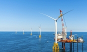 Điện gió ngoài khơi: Đề xuất tạm dừng thẩm định, chấp thuận khu vực biển
