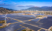 Yêu cầu thực hiện đúng hợp đồng với Nhà máy điện mặt trời Trung Nam Thuận Nam