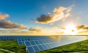 Đề xuất giá điện mặt trời mặt đất cao nhất 1.187 đồng/ kWh