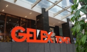 GELEX đặt mục tiêu lợi nhuận gần 1.300 tỷ đồng