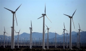 Mỹ thúc đẩy kế hoạch tăng tốc chuyển đổi năng lượng