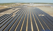 'Treo' hơn 6 năm, Hoàng Sơn tiếp tục xin gia hạn dự án điện mặt trời 2.600 tỷ