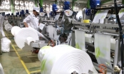 Depak tăng vốn đầu tư nhà máy sản xuất bao bì ở Thanh Hóa lên gấp hơn 4 lần