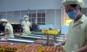 Hong Kong bỏ lệnh cấm nhập khẩu trứng và sản phẩm trứng gia cầm Việt Nam