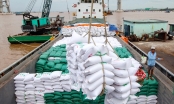 Việt Nam chỉ còn 170 doanh nghiệp xuất khẩu gạo