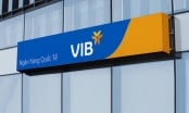 VIB báo lãi 9 tháng hơn 8.300 tỷ