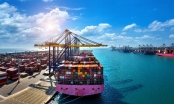 Xuất khẩu bền vững giúp Vinamilk mở rộng thị trường quốc tế