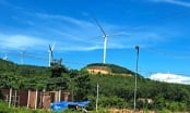 Chủ dự án điện gió hơn 1.750 tỷ ở Kon Tum vừa bị xử phạt là ai?