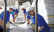 Giá gạo xuất khẩu của Việt Nam tiếp tục tăng