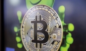 Đã tăng gấp đôi trong năm nay, giá bitcoin liệu có vượt được mốc 40.000 USD?
