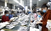 Minh Danh làm nhà máy da giày hơn 300 tỷ ở Thanh Hóa