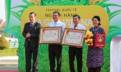 'Con đường lúa gạo Việt Nam' tại Hậu Giang phá 2 kỷ lục quốc gia