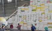 Giá gạo thế giới giảm, gạo Việt Nam vẫn giữ giá cao