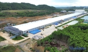 Trung Đô chi gần 236 tỷ làm nhà máy chế biến nguyên liệu ở Nghệ An