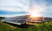 Bộ Công Thương duyệt bổ sung 154 dự án điện mặt trời không có căn cứ