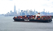 Doanh nghiệp xuất khẩu gặp khó vì giá vận tải biển tăng mạnh