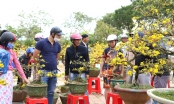 Tiểu thương 'sale sập sàn' tại chợ hoa Tết Đà Nẵng ngày 30 Tết