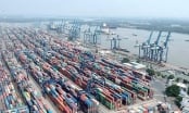 Tổng công ty Tân Cảng Sài Gòn bác thông tin hàng xuất khẩu bị 'rút ruột' tại cảng Cát Lái