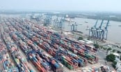 5 doanh nghiệp nghi bị 'rút ruột' 8 lô hàng xuất khẩu tại cảng Cát Lái