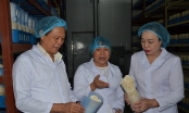 Chân dung “nữ tướng” làm khu sản xuất nấm công nghệ cao đầu tiên tại Việt Nam