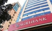 Agribank lãi lớn trước thềm cổ phần hóa