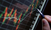Nhận định chứng khoán ngày 30/1: VN-Index tăng điểm trong bối cảnh các cổ phiếu phân hóa mạnh
