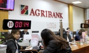 Chủ tịch HĐTV Agribank: 100.000 tỷ vướng ở tài sản thế chấp