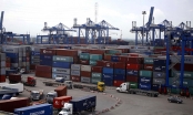 Bí ẩn vụ ‘mất tích’ hơn 200 container