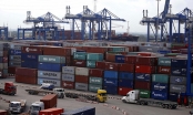 Bộ Công an khởi tố vụ án hơn 200 container mất tích