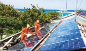 Bùng nổ các dự án điện mặt trời ở Việt Nam