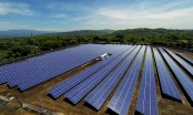 Điện mặt trời: Đảm bảo an ninh năng lượng và phát triển bền vững