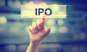 Cơ hội, thách thức cho startup khi IPO, M&A