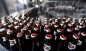 Thị trường bia tăng giá mạnh vì đâu?
