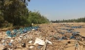 Thanh Hóa: Khai vống gần 300 tỉ đồng thiệt hại do bão số 10