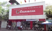 Agribank 9 tháng: Xử lý nợ xấu còn thấp do công tác thi hành án thu hồi nợ chậm