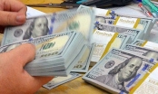 Bảy năm “rút phao” tín dụng ngoại tệ