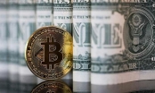 CME Group sẽ khai trương sàn giao dịch tương lai bitcoin trong quí IV
