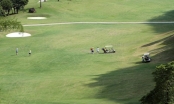 Phượng Hoàng làm dự án sân golf sai phép