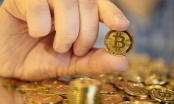 Xuất hiện 'ngôi sao' mới Bitcoin Cash, Bitcoin 'rớt thảm' 2.000 USD chỉ trong 4 ngày