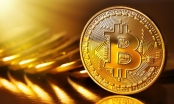 'Quả bong bóng' Bitcoin vượt mức 8.000 USD
