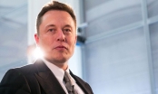 CEO Elon Musk có phải là cha đẻ Bitcoin?