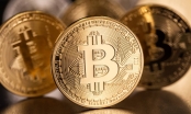 Cảnh báo về quả 'bong bóng' không thể làm giảm sức nóng của thị trường Bitcoin