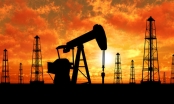 Cổ phiếu họ dầu khí: ‘Nín thở’ chờ giờ mở cửa