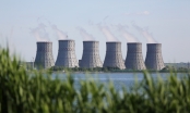 Nga và Ai Cập đạt thỏa thuận xây dựng nhà máy hạt nhân 30 tỷ USD