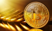 Chủ tịch Fed: Bitcoin là một 'tài sản có tính đầu cơ cao'