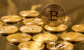 Giá Bitcoin ngày 10/1: 'Bay' 20 tỷ USD chỉ trong một đêm